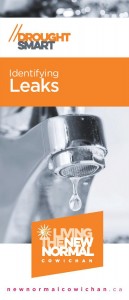 DroughtSmart Leaks